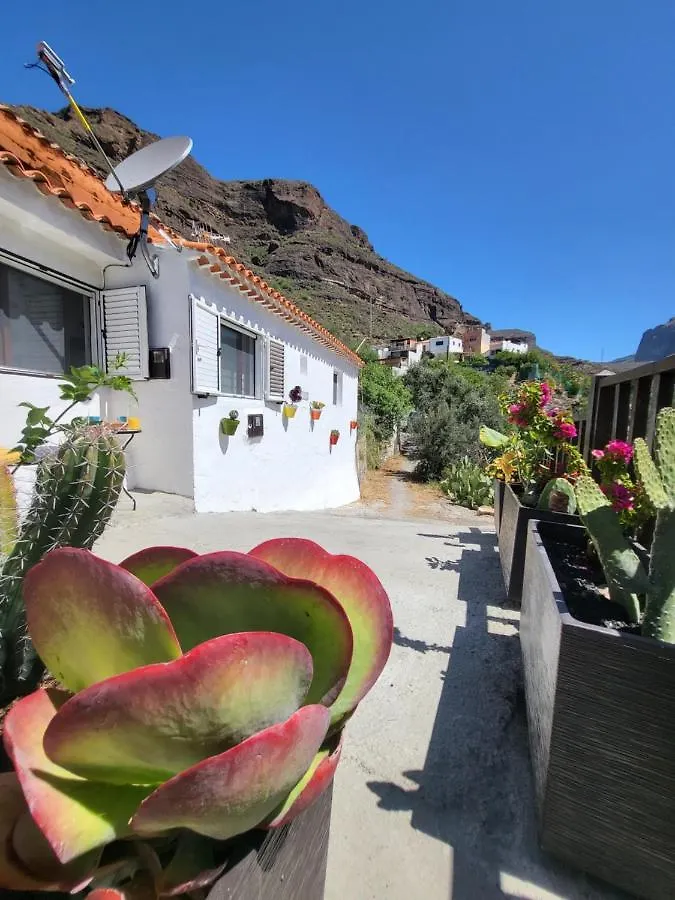 Holiday home Casa Rural Los Pinares El Juncal De Tejeda Spain