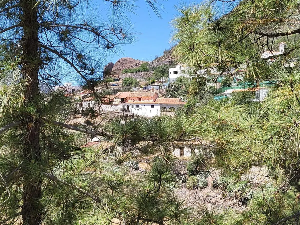 Holiday home Casa Rural Los Pinares El Juncal De Tejeda Spain