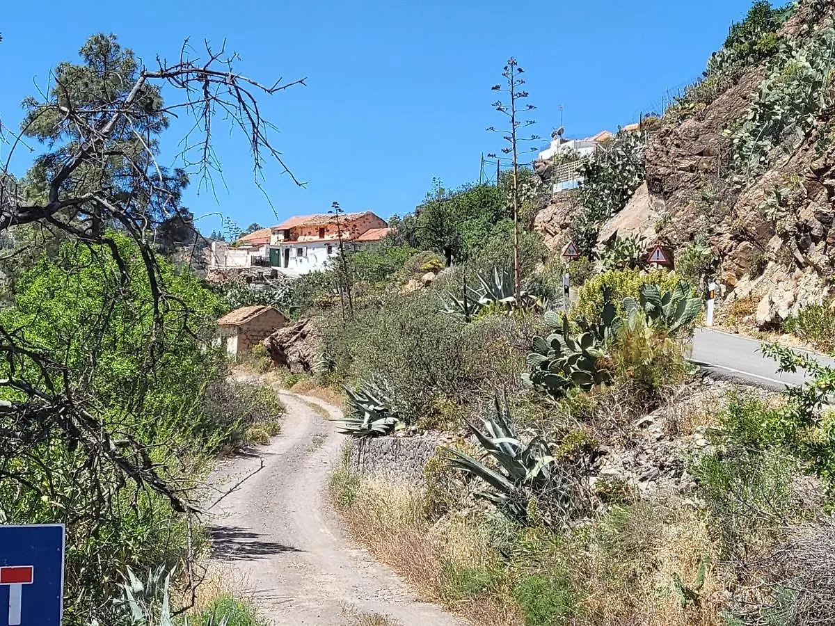 Casa Rural Los Pinares El Juncal De Tejeda Holiday home