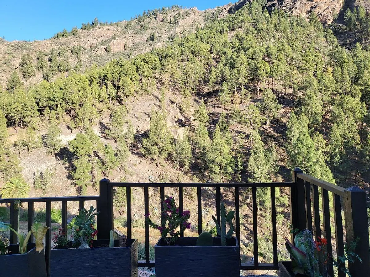 Casa Rural Los Pinares El Juncal De Tejeda