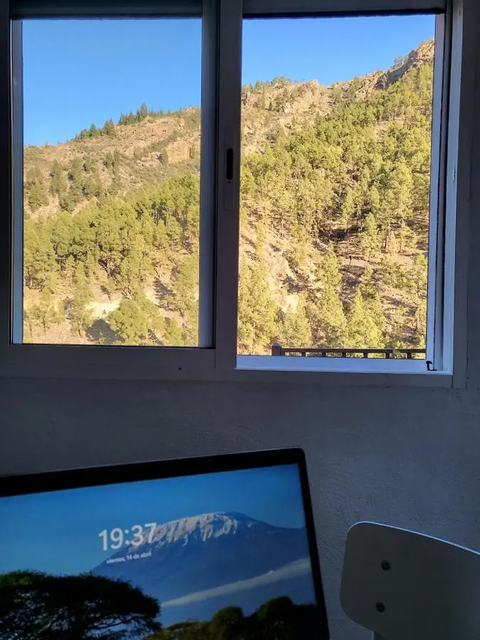 Casa Rural Los Pinares El Juncal De Tejeda