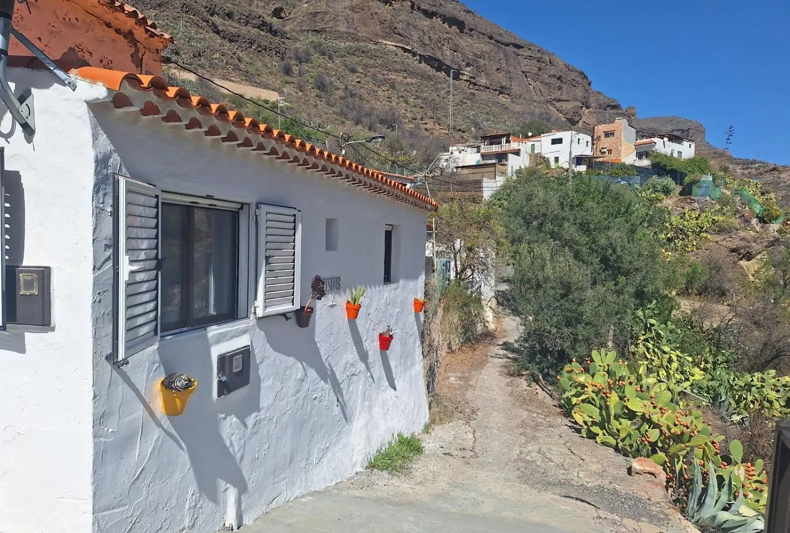 Casa Rural Los Pinares El Juncal De Tejeda contacts